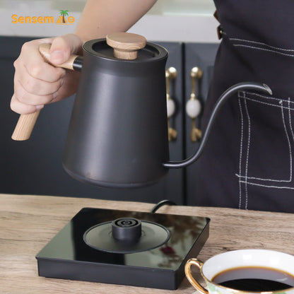 Gooseneck Kettle Electric