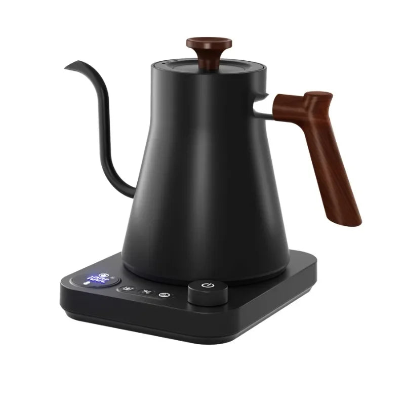 Electric Gooseneck Kettle
