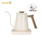 Gooseneck Kettle Electric