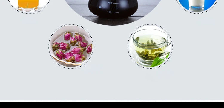 Hand Glass Coffee Kettle with Stainless Steel Filter