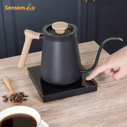 Gooseneck Kettle Electric