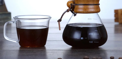 Hand Glass Coffee Kettle with Stainless Steel Filter