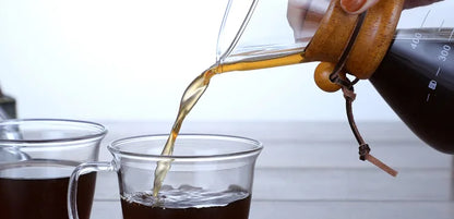 Hand Glass Coffee Kettle with Stainless Steel Filter