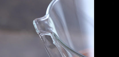 Hand Glass Coffee Kettle with Stainless Steel Filter