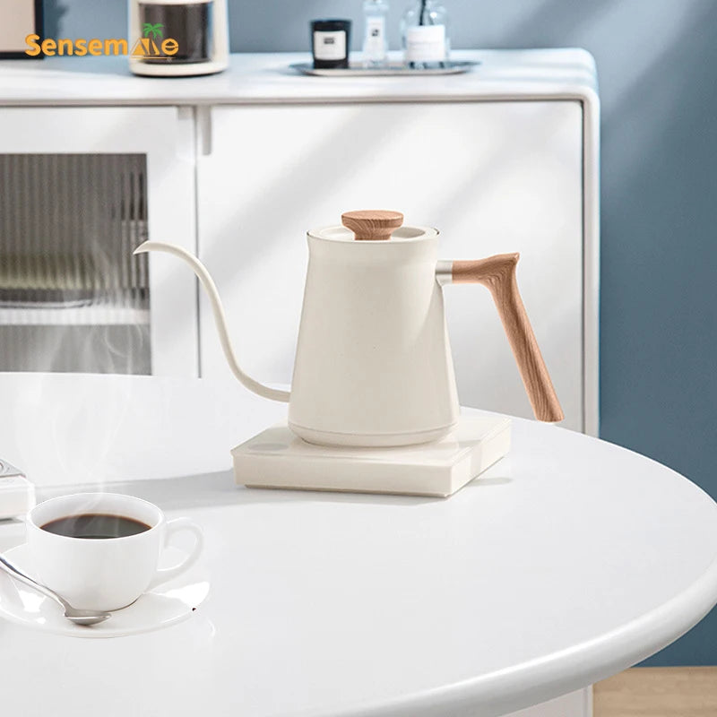 Gooseneck Kettle Electric