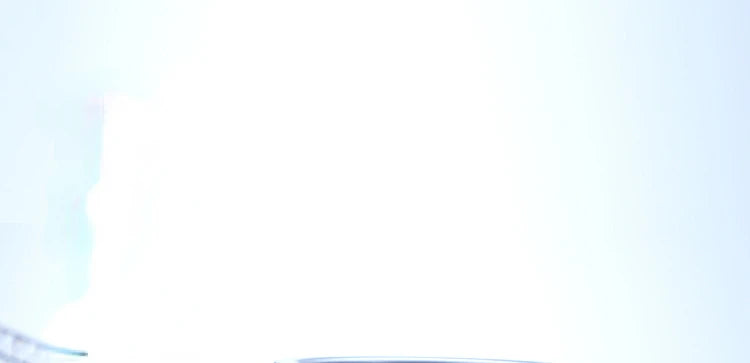 Hand Glass Coffee Kettle with Stainless Steel Filter