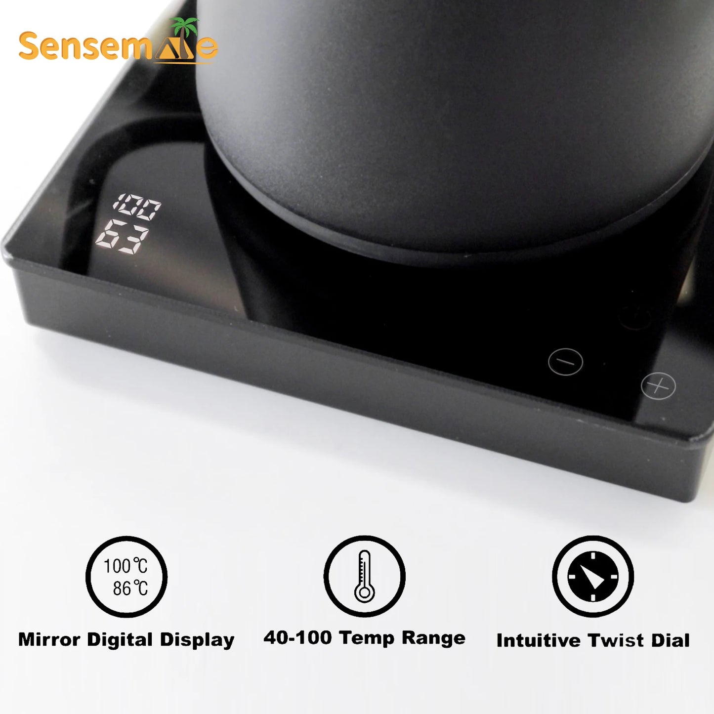 Gooseneck Kettle Electric