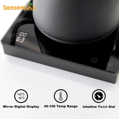 Gooseneck Kettle Electric